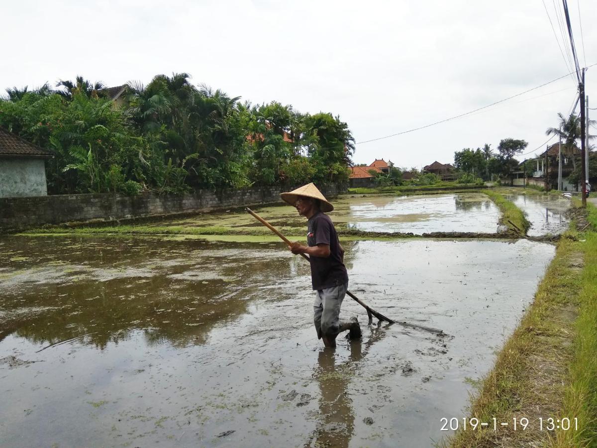 Bhuana Alit 2 Ubud Экстерьер фото