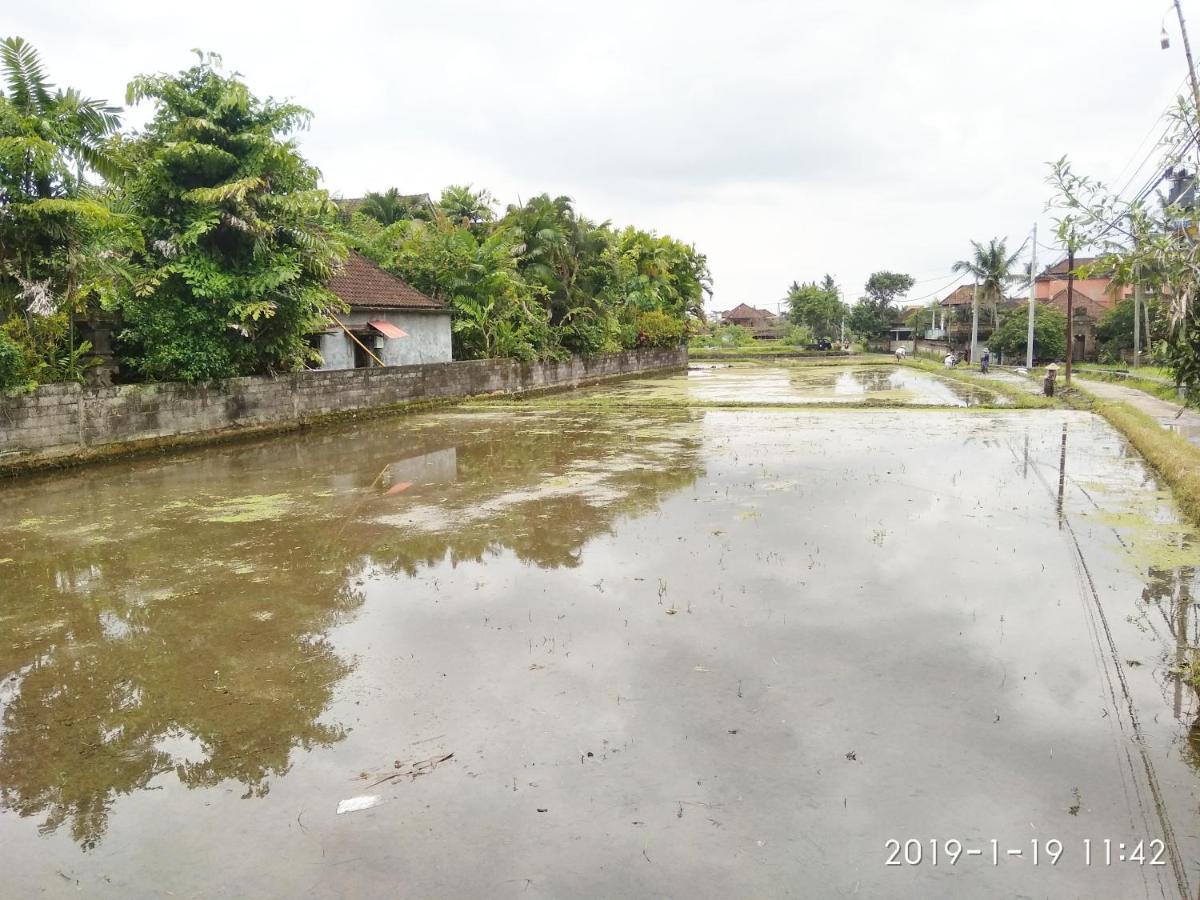 Bhuana Alit 2 Ubud Экстерьер фото