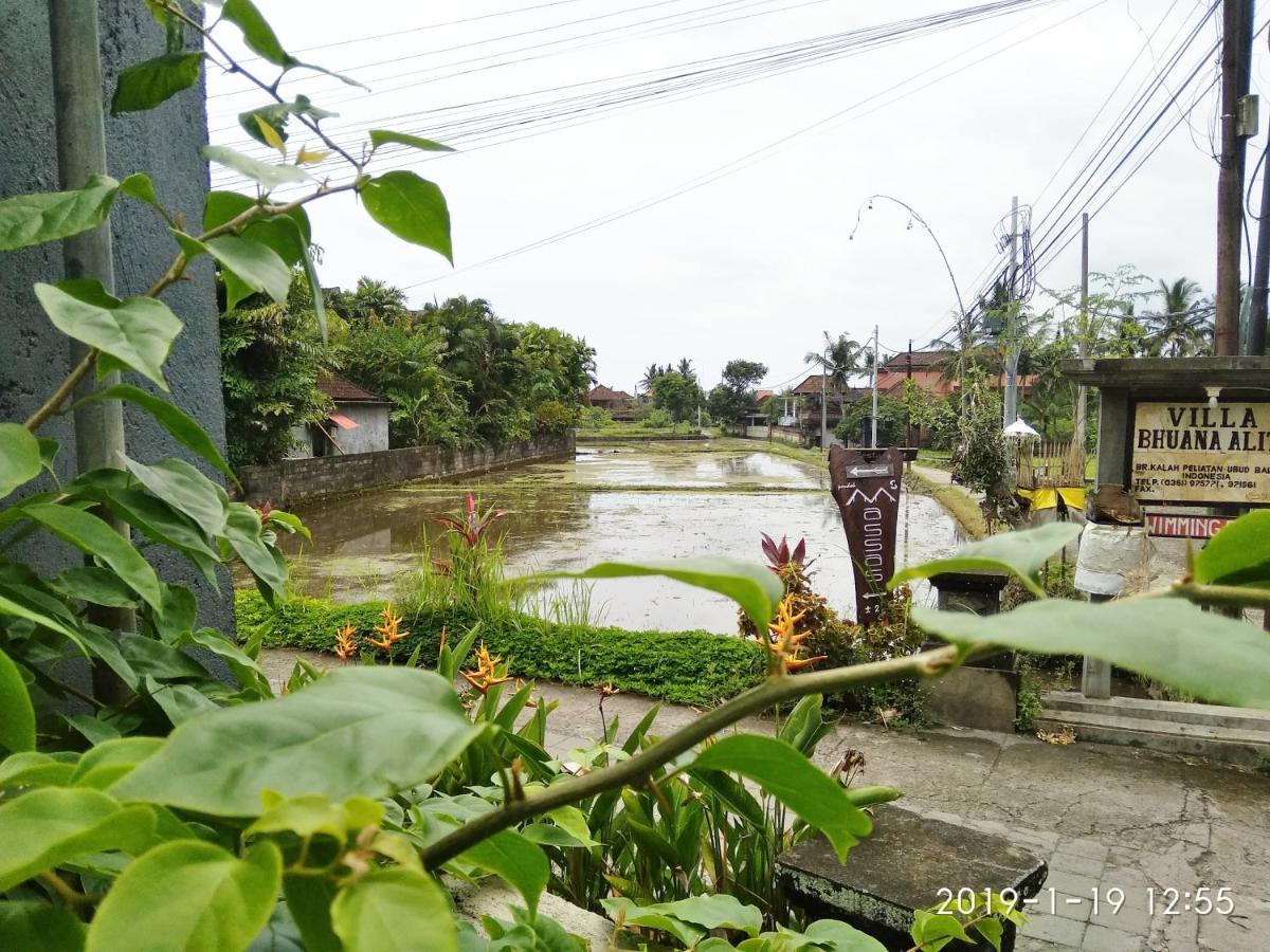 Bhuana Alit 2 Ubud Экстерьер фото